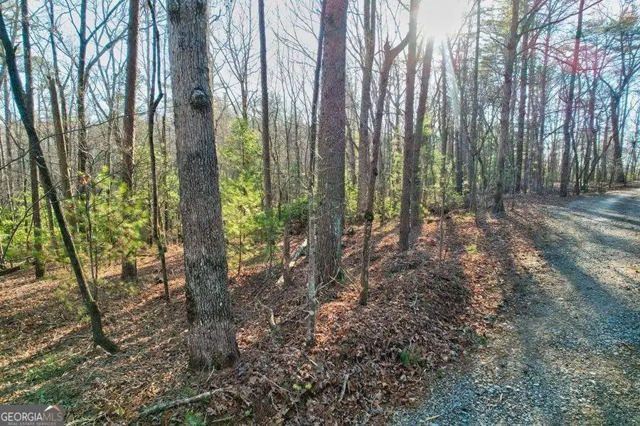 17.67 AC Rainbow Ridge, Ellijay, GA 30540 - Image #3