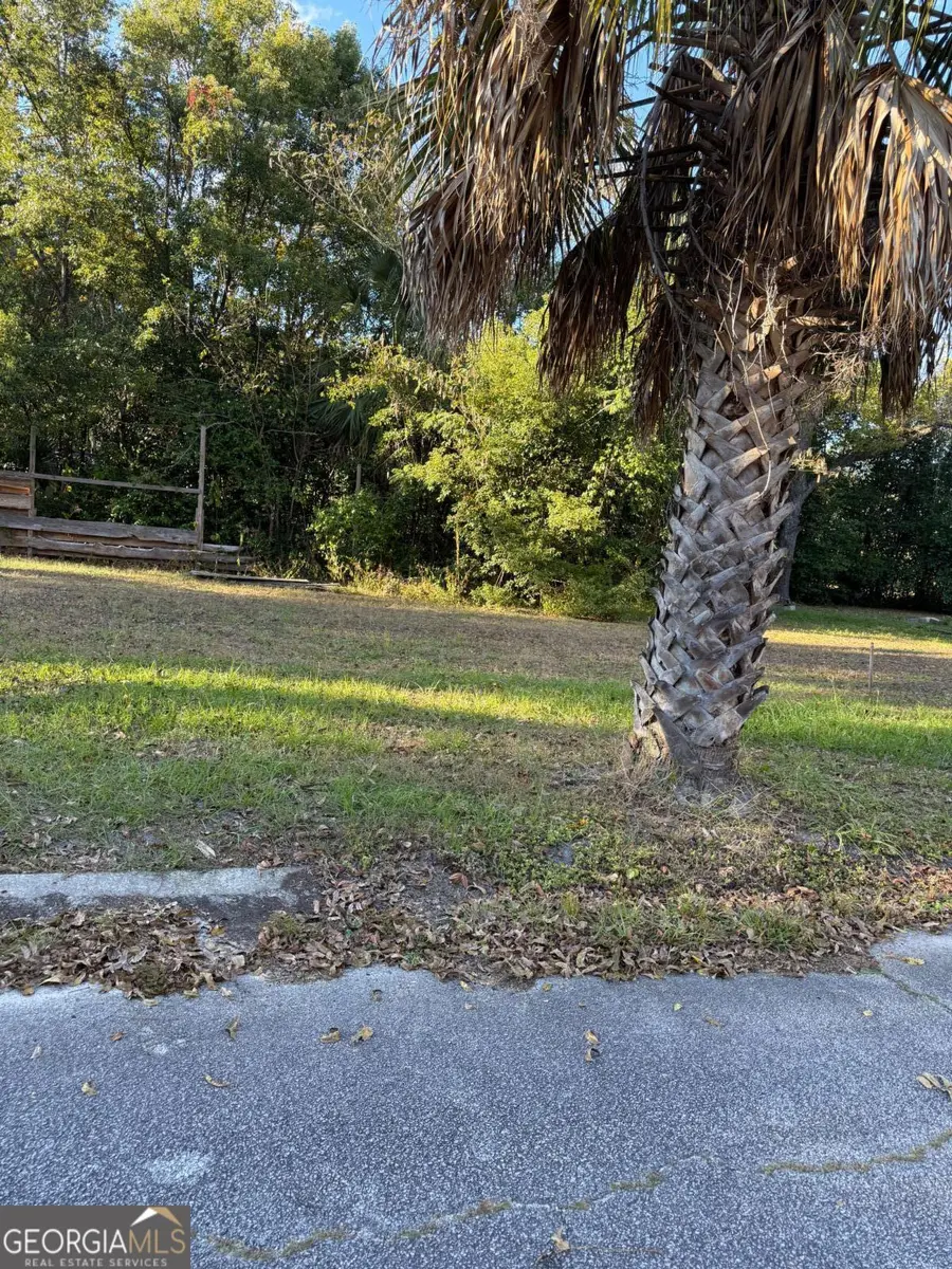 0 Fluker Street, Waycross, GA 31501 - Image #2