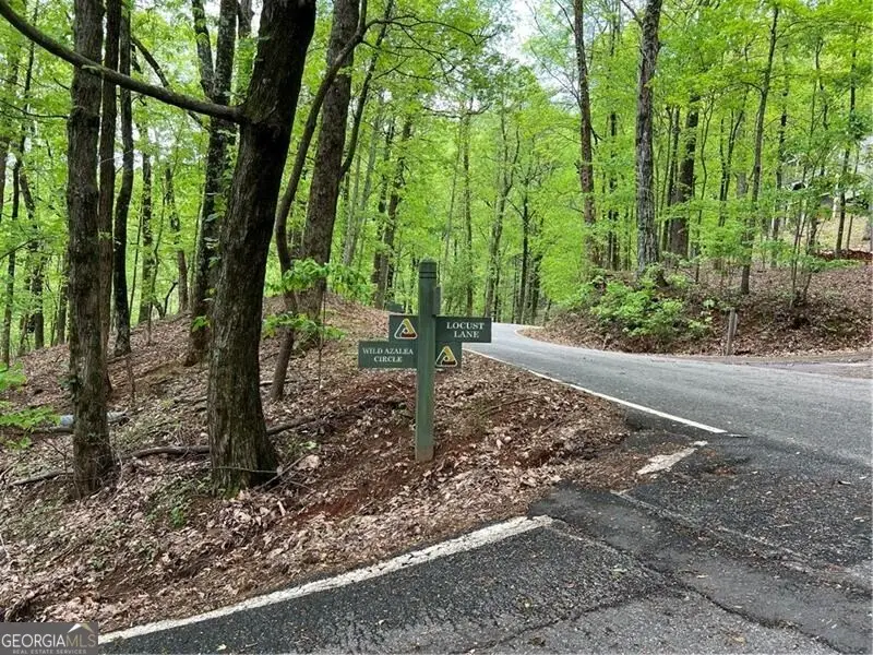 0 Valley View Drive, Jasper, GA 30143 - Image #1