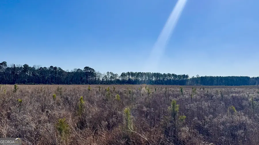 0 Highway 301 #14, Statesboro, GA 30461 - Image #2