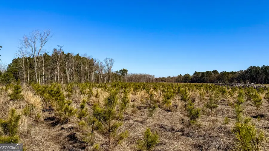 0 Highway 301 #14, Statesboro, GA 30461 - Image #3