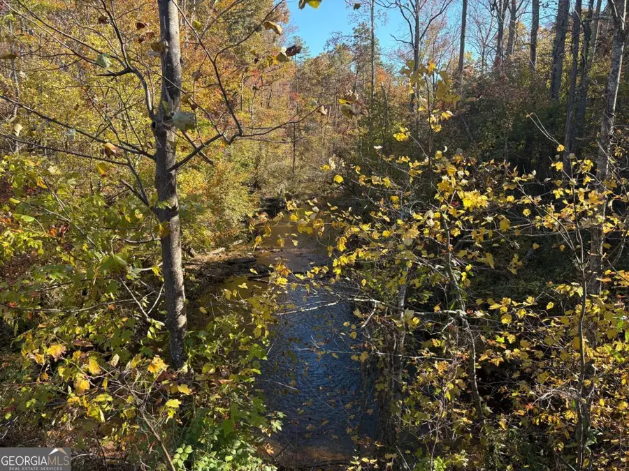 0 Cowart, Dawsonville, GA 30534 - Image #2