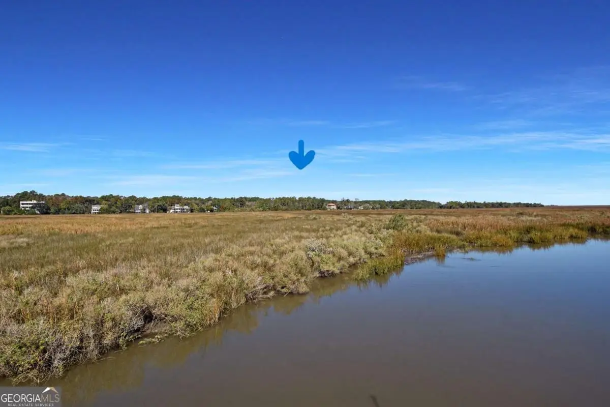 205 Palm Trace, Brunswick, GA 31525 - Image #1