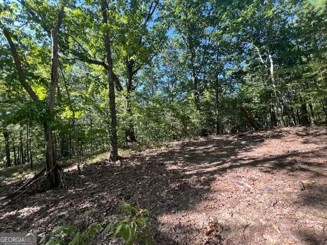 0 Vinson Mountain Road, Rockmart, GA 30153 - Image #2