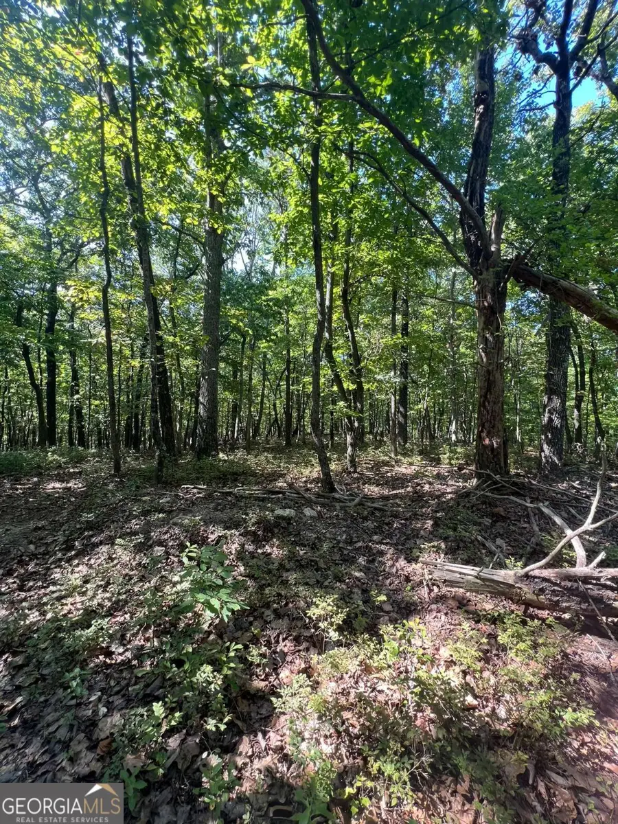 0 Vinson Mountain Road, Rockmart, GA 30153 - Image #3