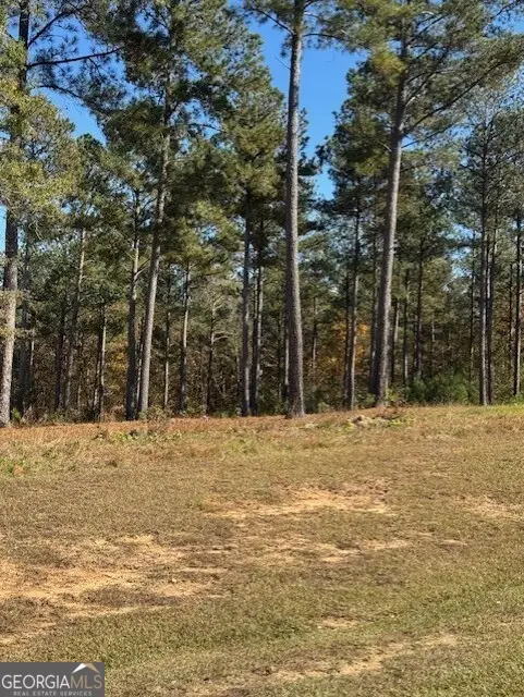 111 Stormy Drive, Eatonton, GA 31024 - Image #2