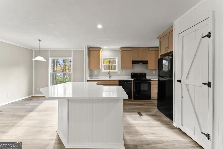 10454 Duncan Bridge Road, Cleveland, GA 30528 - Image #3