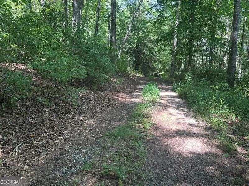 5 5 AC Maudlin Creek Road, Suches, GA 30572 - Image #2