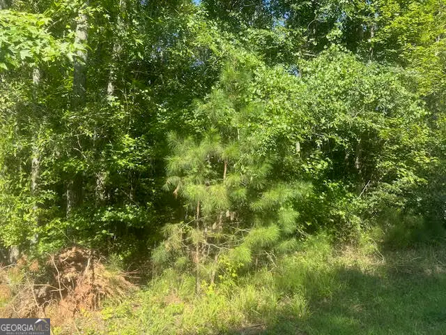 0 Twin Bridges Road, Eatonton, GA 31024 - Image #1