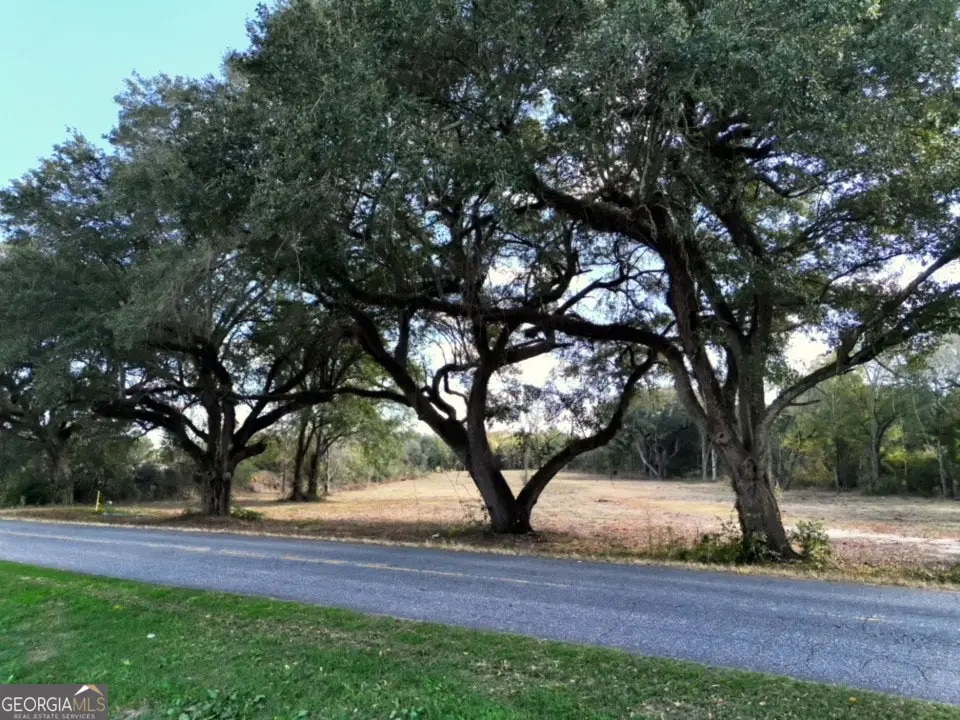 0 Goodson Road, Pelham, GA 31779 - Image #1