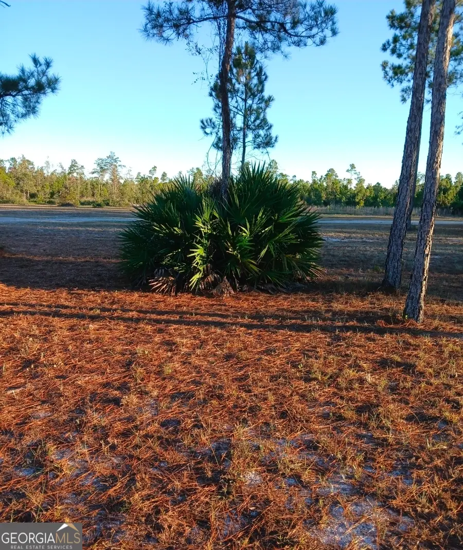 395 Mill Branch, Folkston, GA 31537 - Image #3