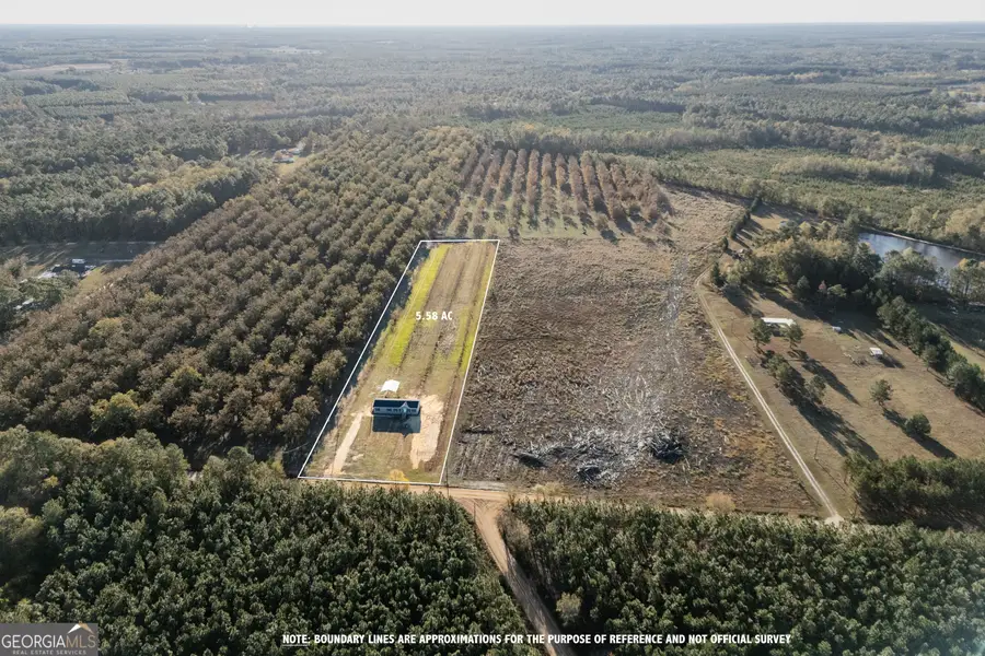 796 Lud Oquinn Road, Odum, GA 31555 - Image #3