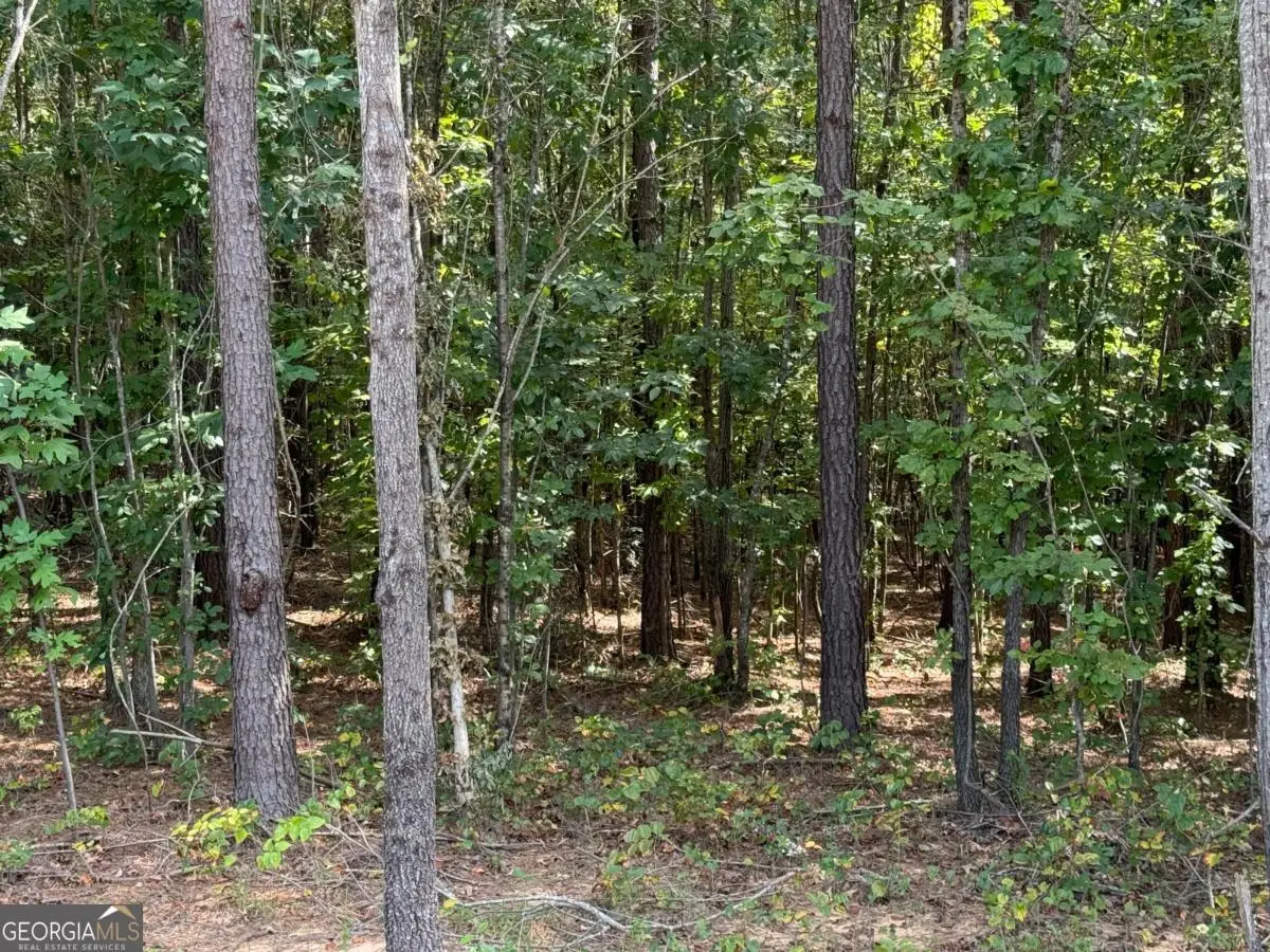 0 Lone Bear Path, Dallas, GA 30132 - Image #1