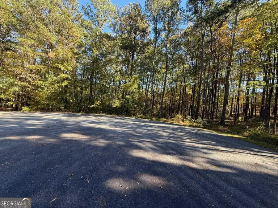 1061 Oakmont Court, Greensboro, GA 30642 - Image #2