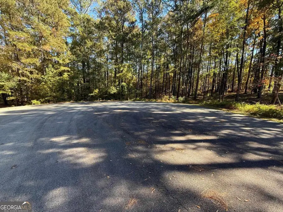 1061 Oakmont Court, Greensboro, GA 30642 - Image #3