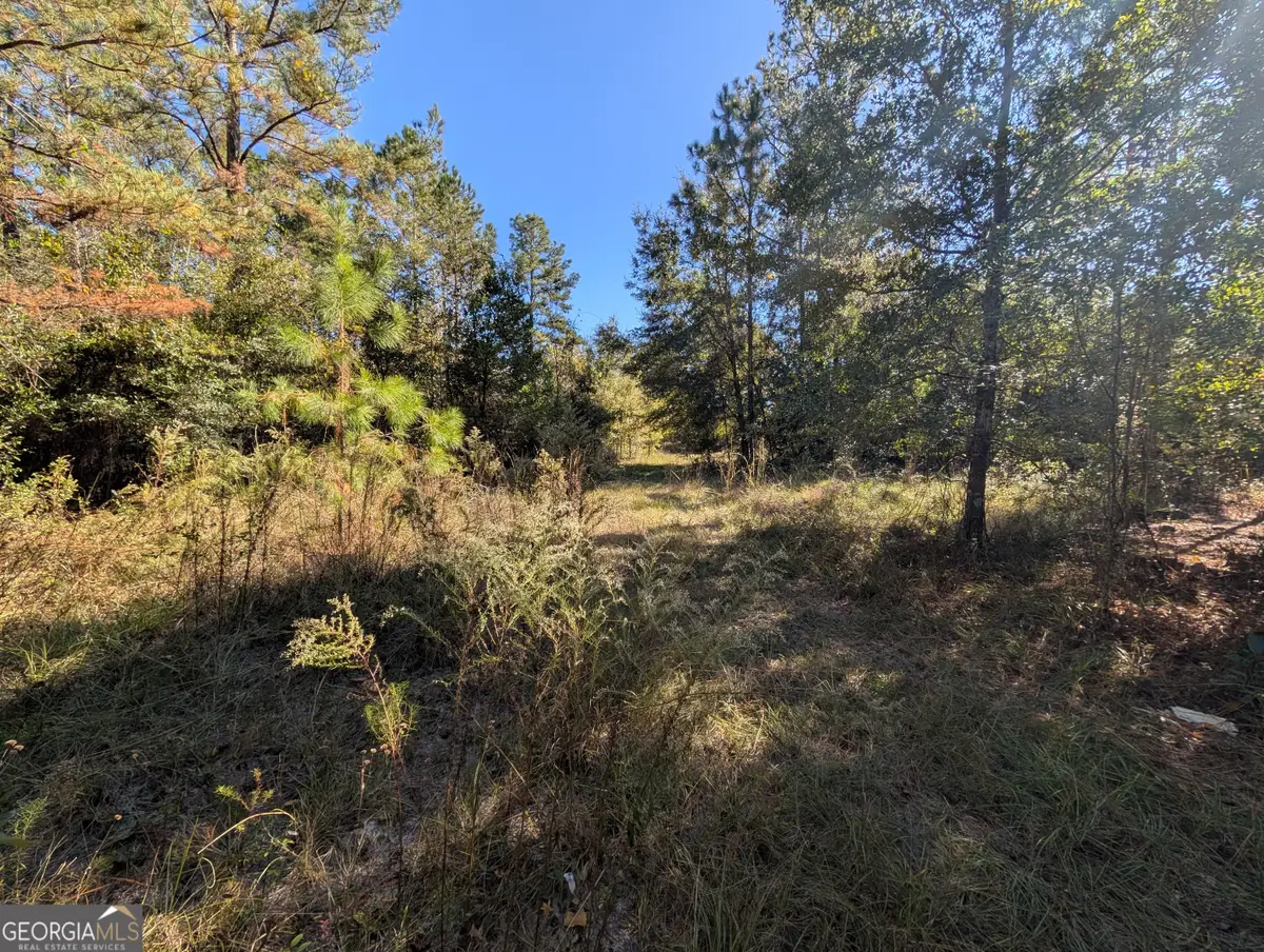 1300 South Palm Street, Jesup, GA 31546 - Image #1