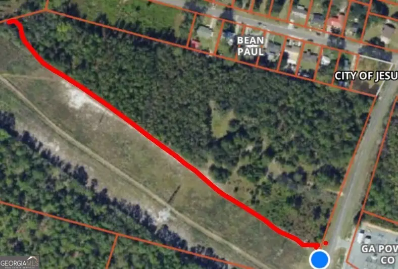 1300 South Palm Street, Jesup, GA 31546 - Image #2