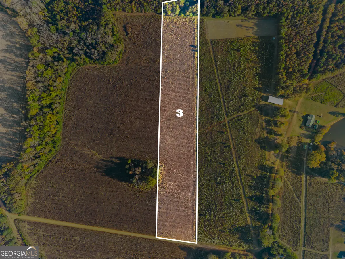 0 Waters Lane #LOT 3, Claxton, GA 30417 - Image #1