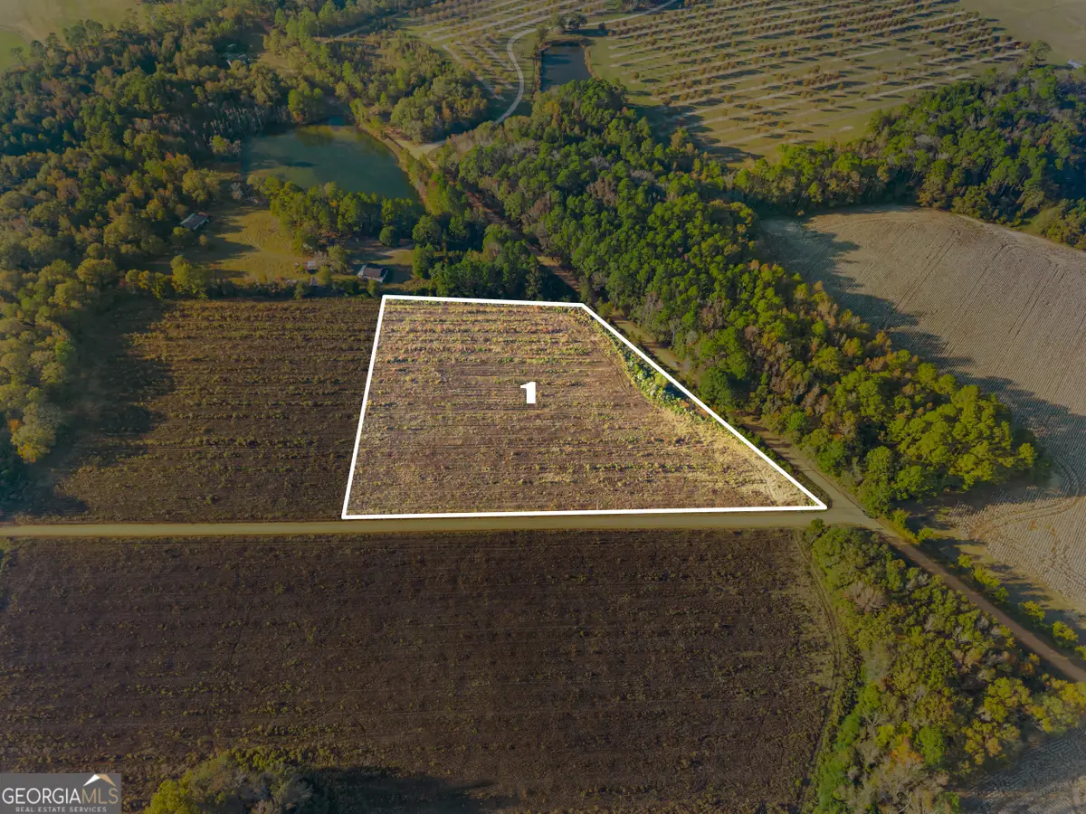 0 Waters Lane #LOTS 1 & 2, Claxton, GA 30417 - Image #1