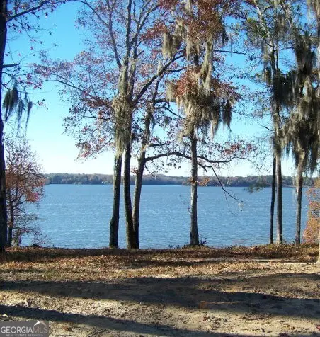 0 Point Drive #LOT 2, 3, 4, Georgetown Quitman County, GA 39854 - Image #1