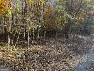 0 Old Burnt House, Ball Ground, GA 30107 - Image #2