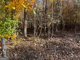 0 Old Burnt House, Ball Ground, GA 30107 - Image #3