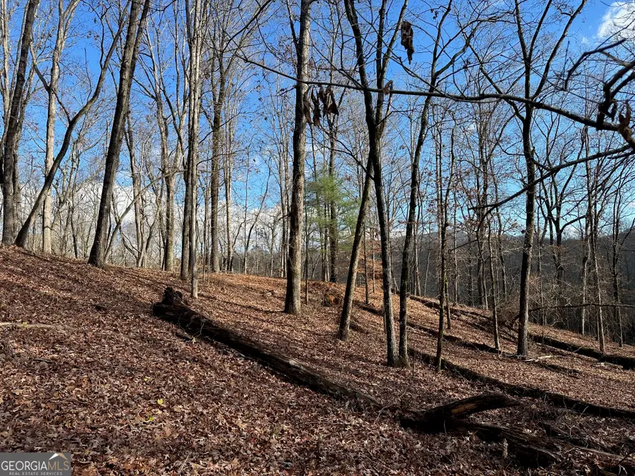 200 Mincey Acres Drive, Murrayville, GA 30564 - Image #2