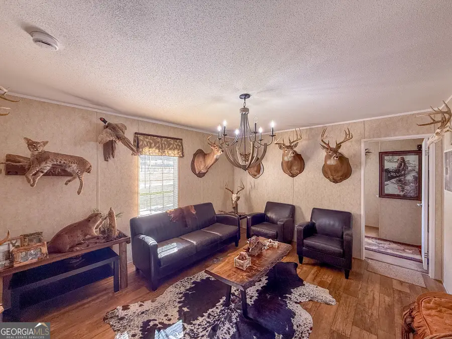 13357 Ga Highway 90 E, Montezuma, GA 31063 - Image #2