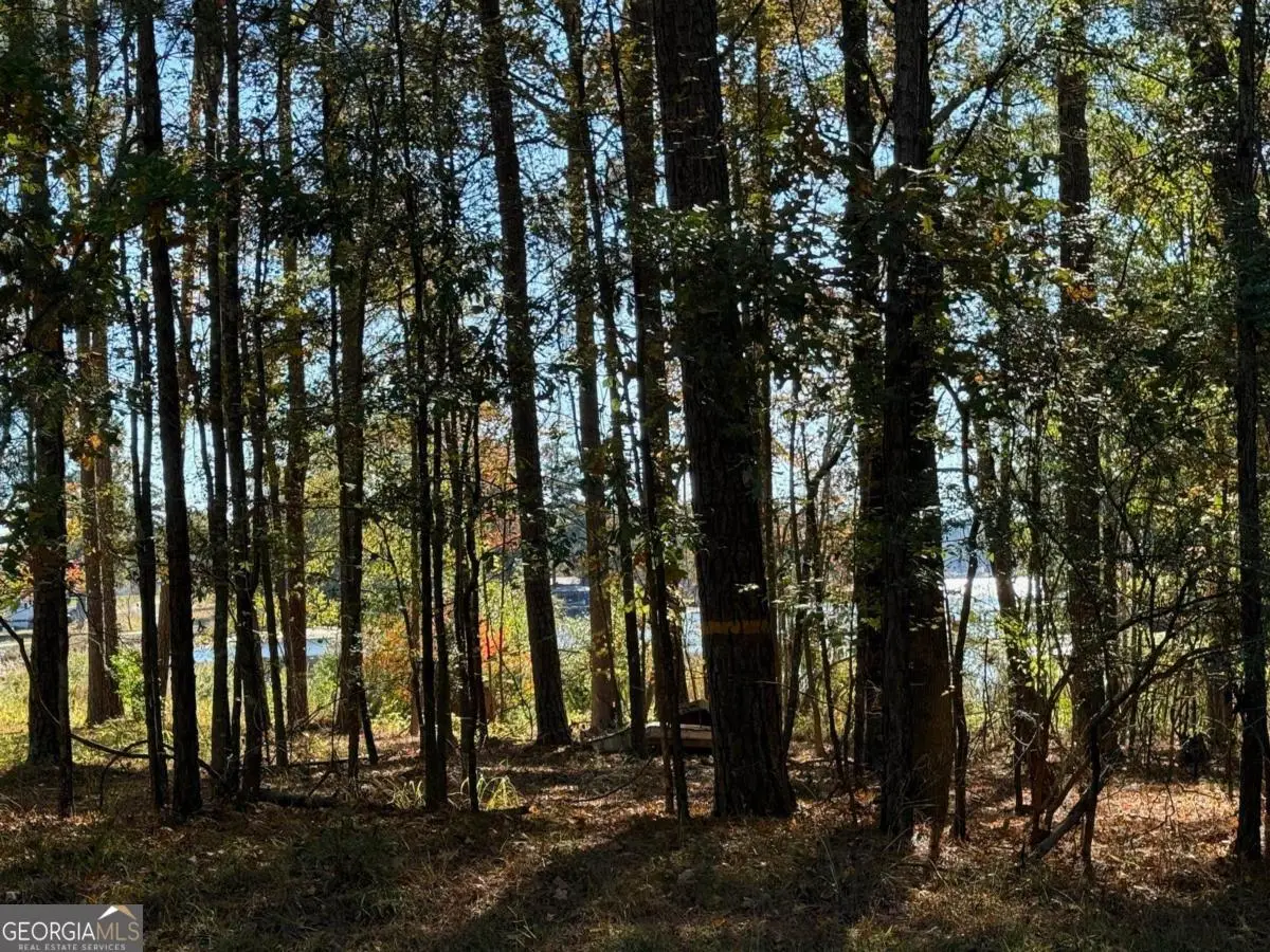 315 Sinclair Road, Eatonton, GA 31024 - Image #1