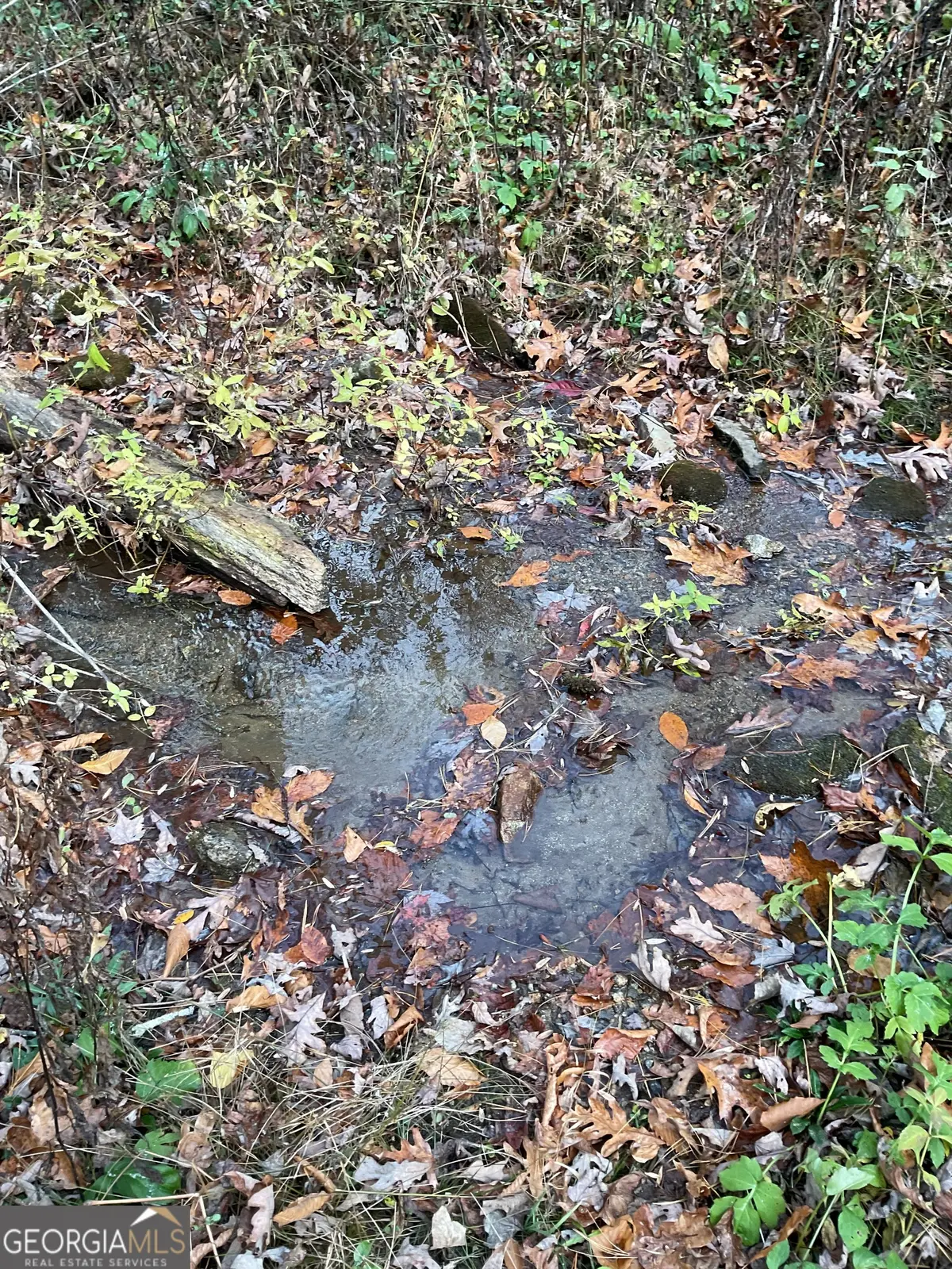 0 Big Creek, Otto, NC 28763 - Image #1