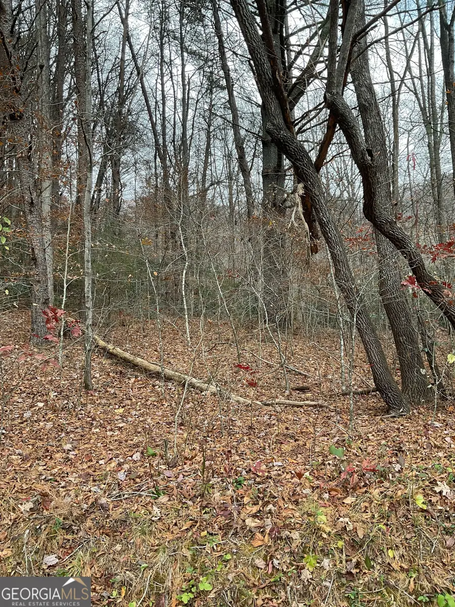 0 Big Creek, Otto, NC 28763 - Image #2