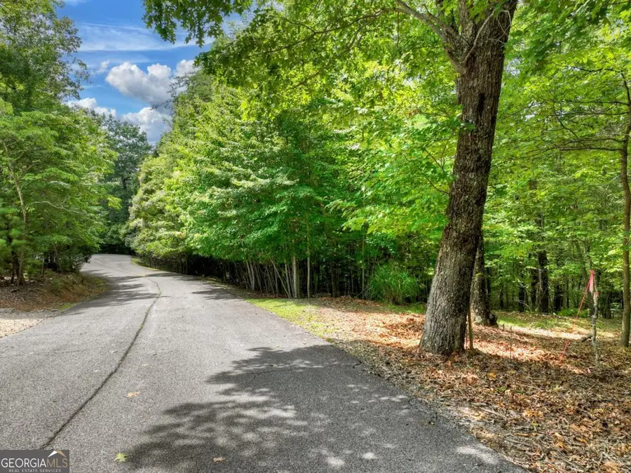 LOT 68 Riverwalk On The Toc #68, Mineral Bluff, GA 30559 - Image #2
