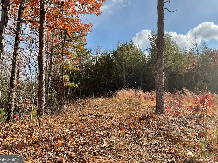 0 Lynn Drive, Clayton, GA 30525 - Image #2