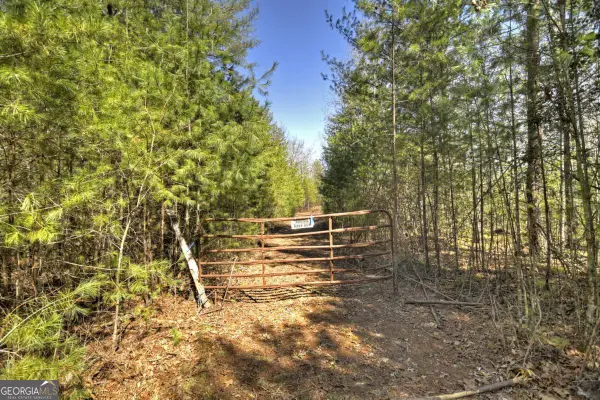 48.4AC Lofty Heights, Mineral Bluff, GA 30559
