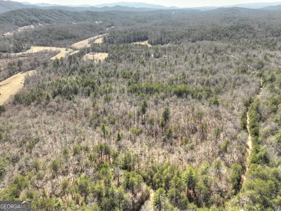 48.4AC Lofty Heights, Mineral Bluff, GA 30559 - Image #2