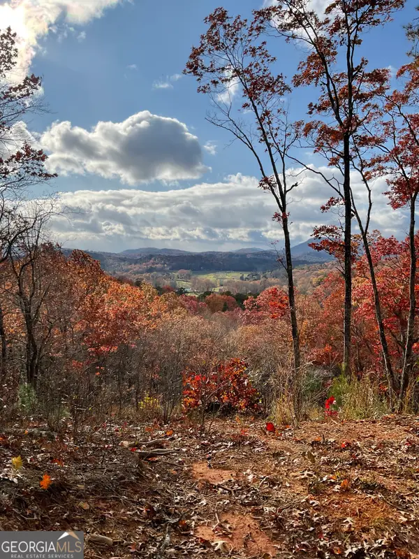 0 Lynn Drive, Clayton, GA 30525