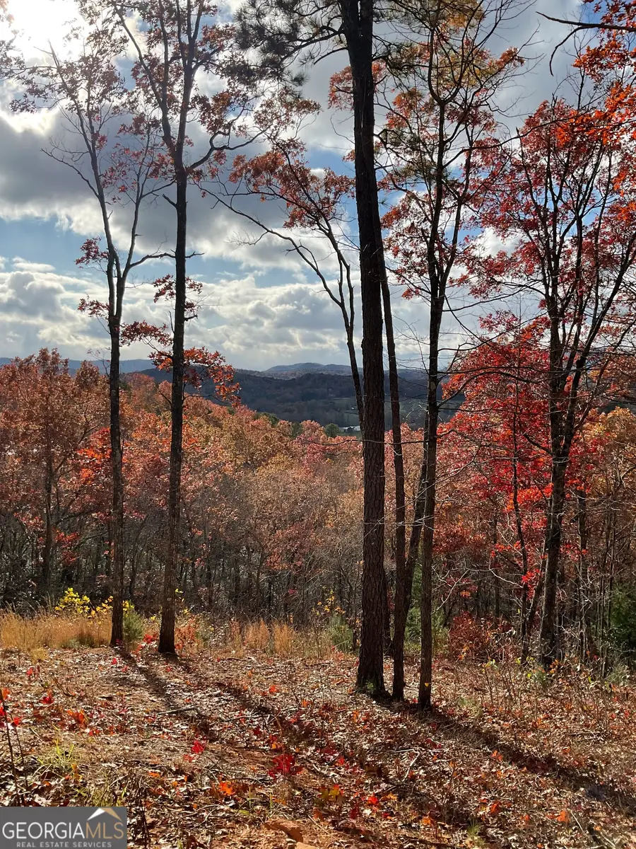 0 Lynn Drive, Clayton, GA 30525 - Image #3