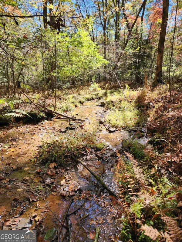 0 Grace Drive, Blue Ridge, GA 30513