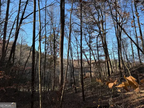 0 Whitepath Road, Ellijay, GA 30540