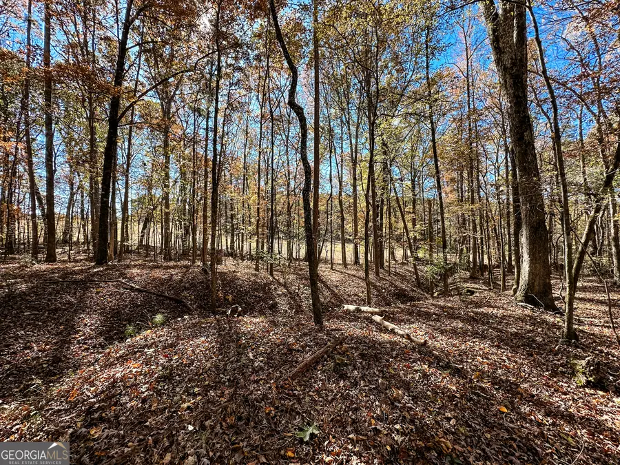 0 Highway 16 E, Monticello, GA 31064 - Image #2