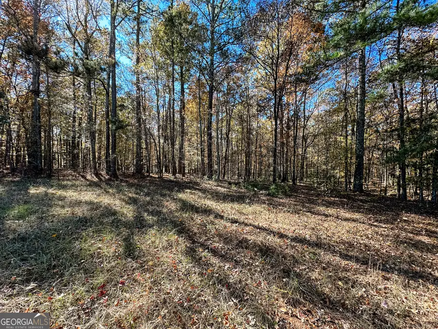 0 Highway 16 E, Monticello, GA 31064 - Image #3