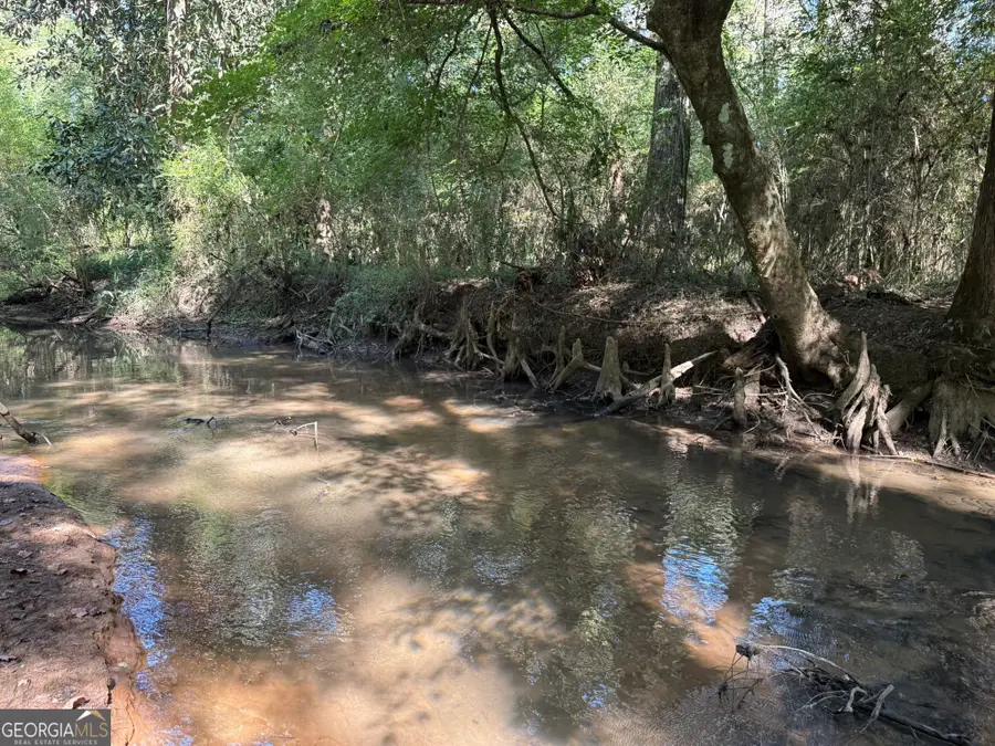 0011GH Wallace Buie Road, Webb, AL 36376 - Image #2