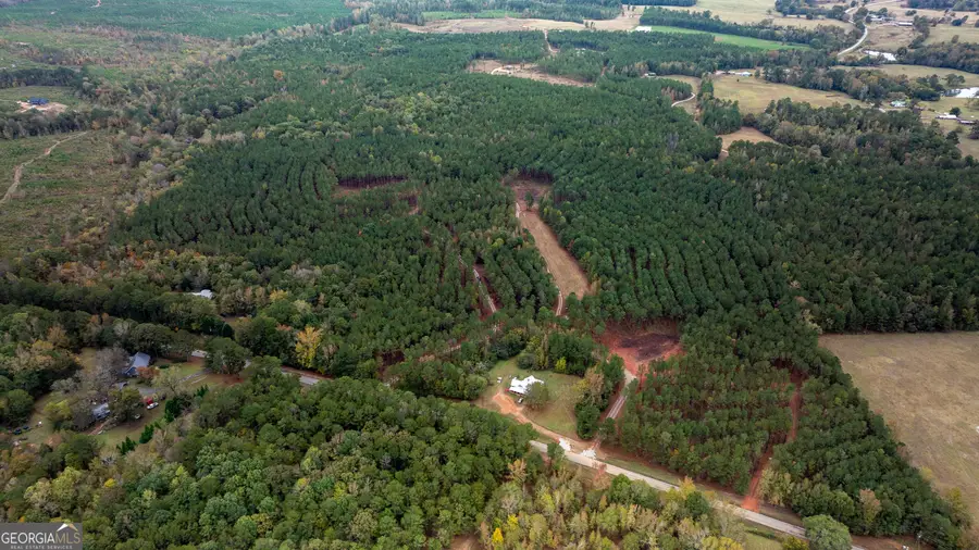 1231 Lanier Road, White Plains, GA 30678 - Image #3