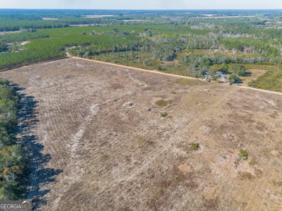TRACT 7 Pine Cone Trail, Mershon, GA 31551 - Image #3