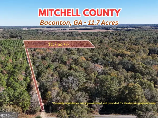 0 Brest Station Road, Baconton, GA 31716