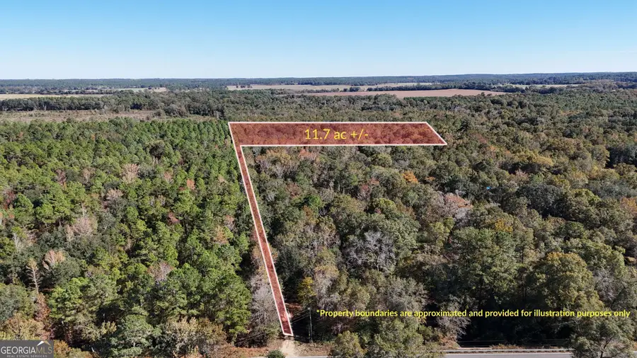 0 Brest Station Road, Baconton, GA 31716 - Image #2