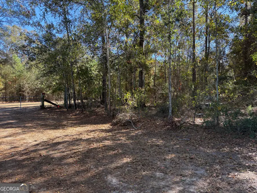 0 Brest Station Road, Baconton, GA 31716 - Image #3