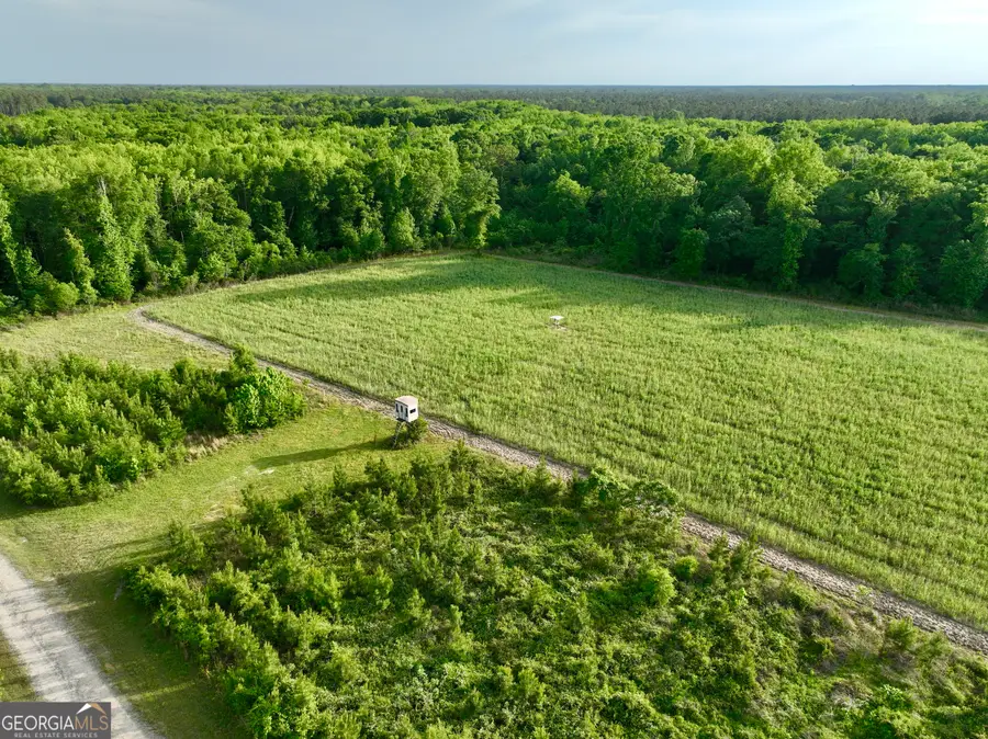 47 Southgate Lane, Hawkinsville, GA 31036 - Image #3