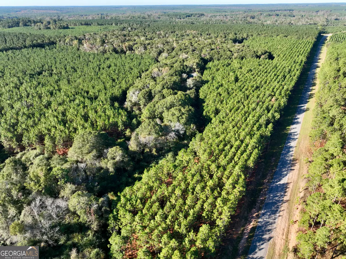 0 Barentine Road, Rochelle, GA 31079 - Image #1