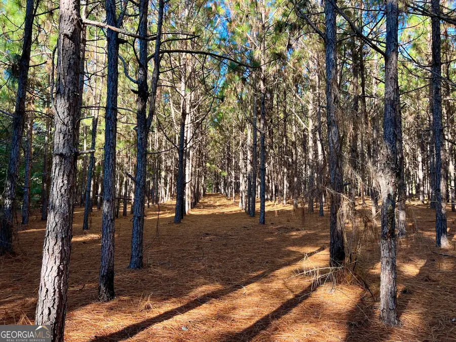 0 Barentine Road, Rochelle, GA 31079 - Image #2